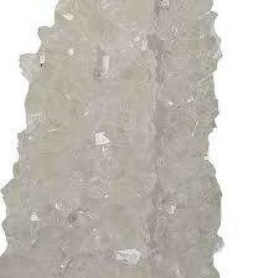 نبات سفید فله